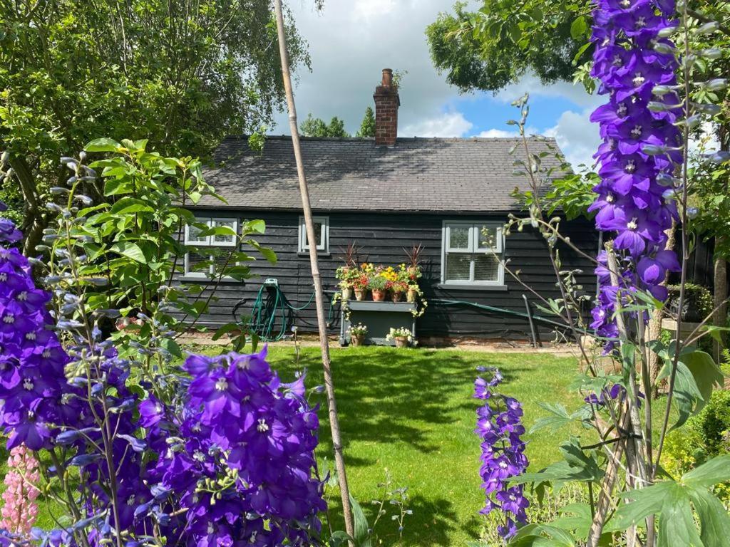 Thompsons Cottage Beverley Exterior foto